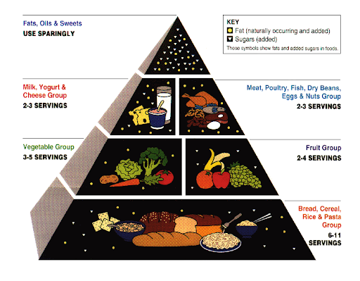 USDA Food Guide Pyramid with bread, cereal, rice and pasta as the foundation and fats, oils and sweets at the top.